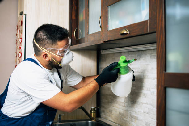 Best Termite Control Services  in Robinson, TX