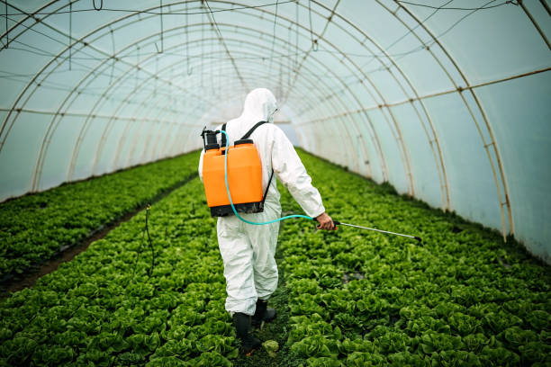 Best Pest Removal Services  in Robinson, TX