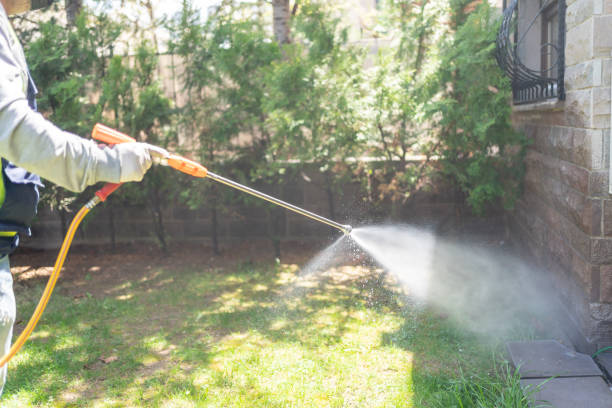 Best Affordable Pest Control Services  in Robinson, TX
