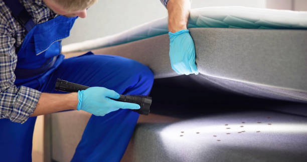 Best Mosquito Control Services  in Robinson, TX