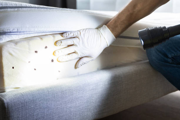 Best Residential Pest Control  in Robinson, TX