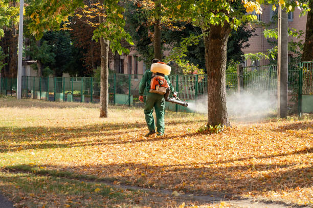Best Wildlife Control Services  in Robinson, TX