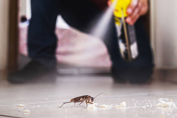 Wildlife Control Services in Robinson, TX