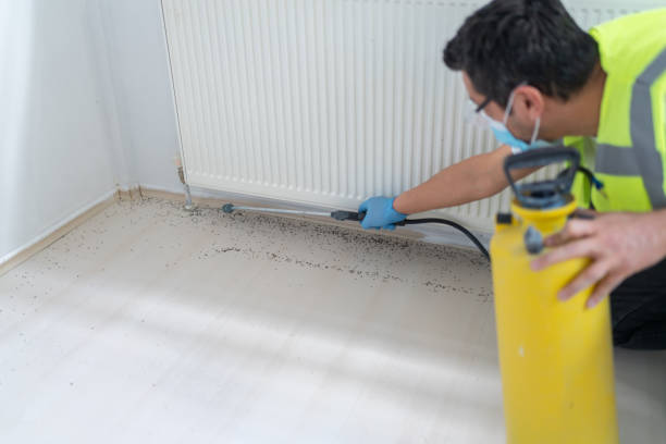 Best Ant Control Services  in Robinson, TX